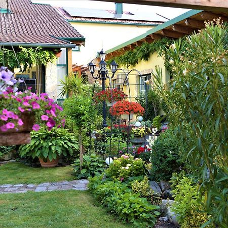 Ferienwohnung Koppi Pamhagen ภายนอก รูปภาพ