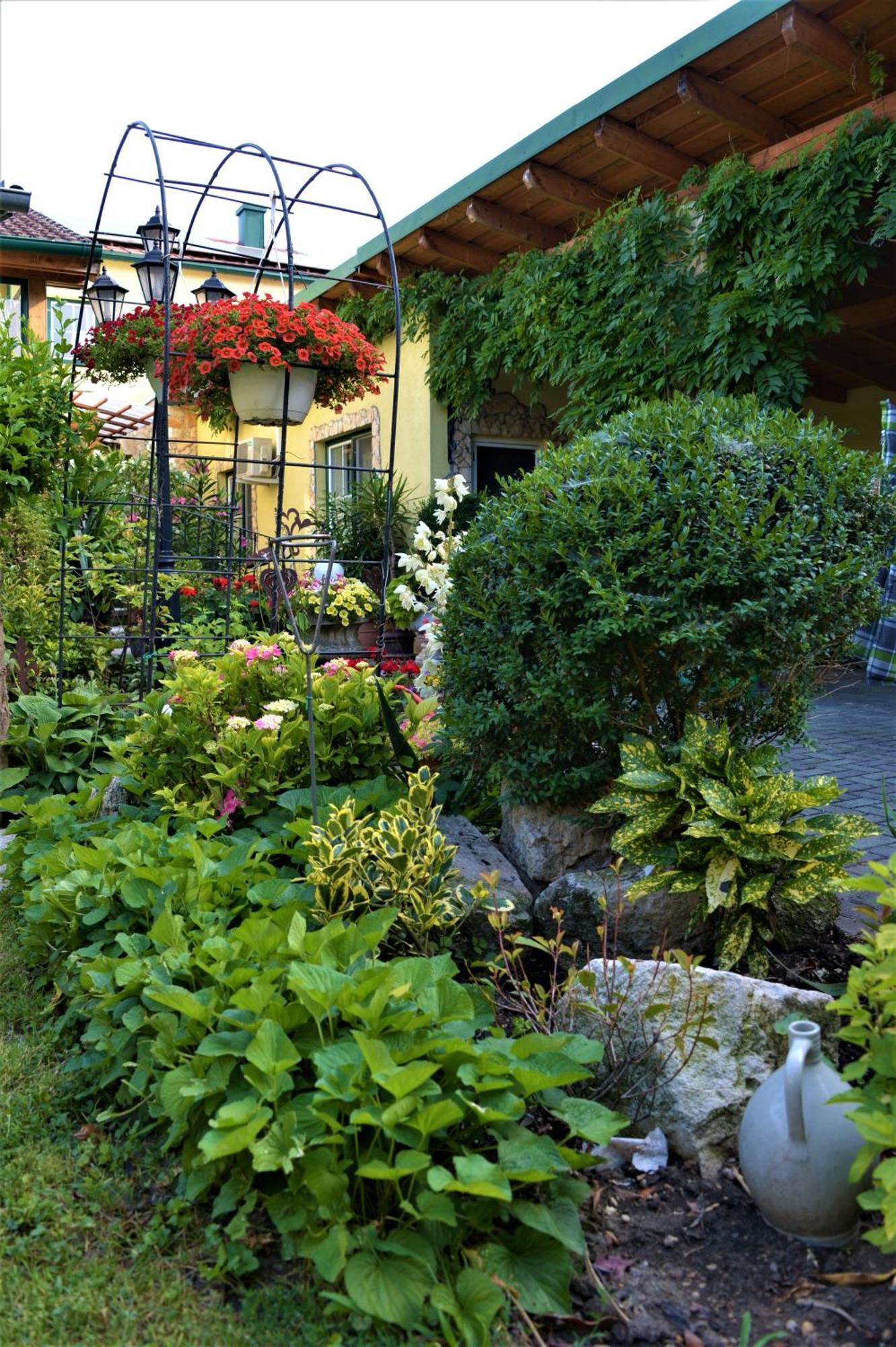 Ferienwohnung Koppi Pamhagen ภายนอก รูปภาพ