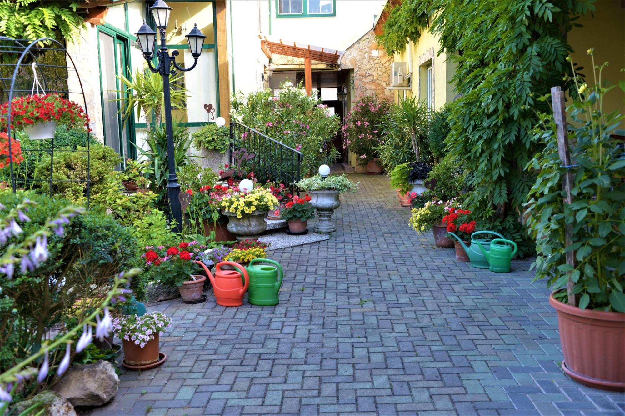 Ferienwohnung Koppi Pamhagen ภายนอก รูปภาพ