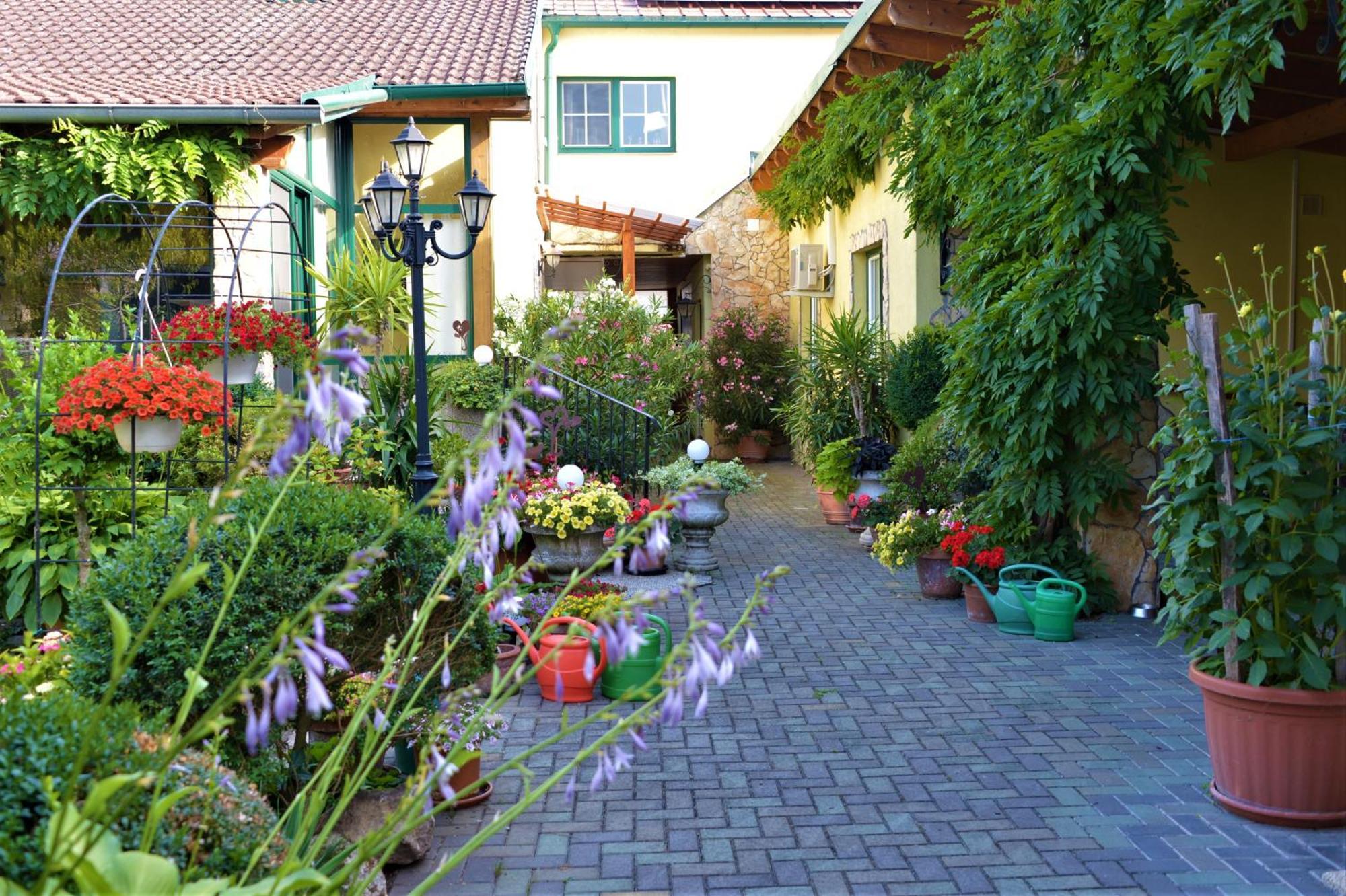 Ferienwohnung Koppi Pamhagen ภายนอก รูปภาพ
