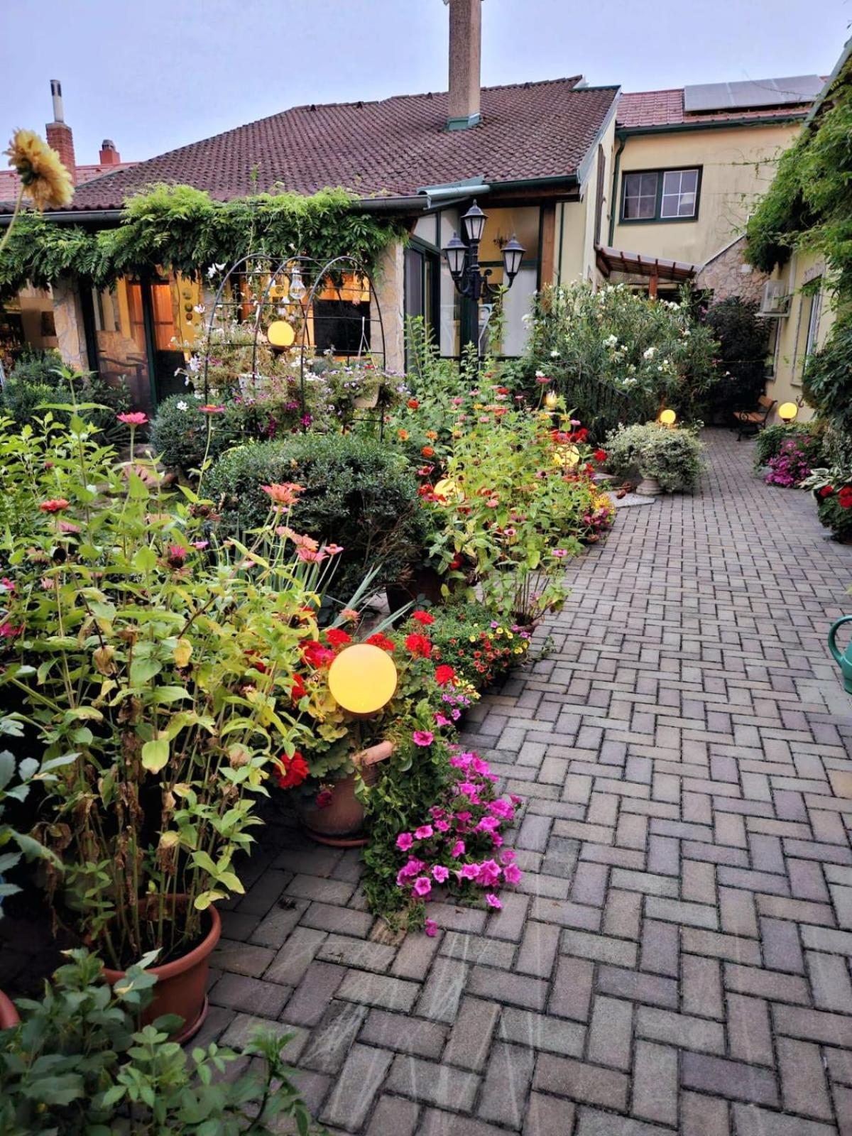 Ferienwohnung Koppi Pamhagen ภายนอก รูปภาพ