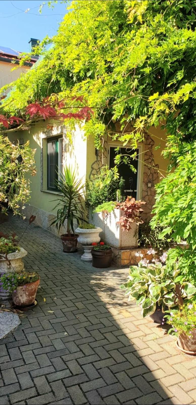Ferienwohnung Koppi Pamhagen ภายนอก รูปภาพ