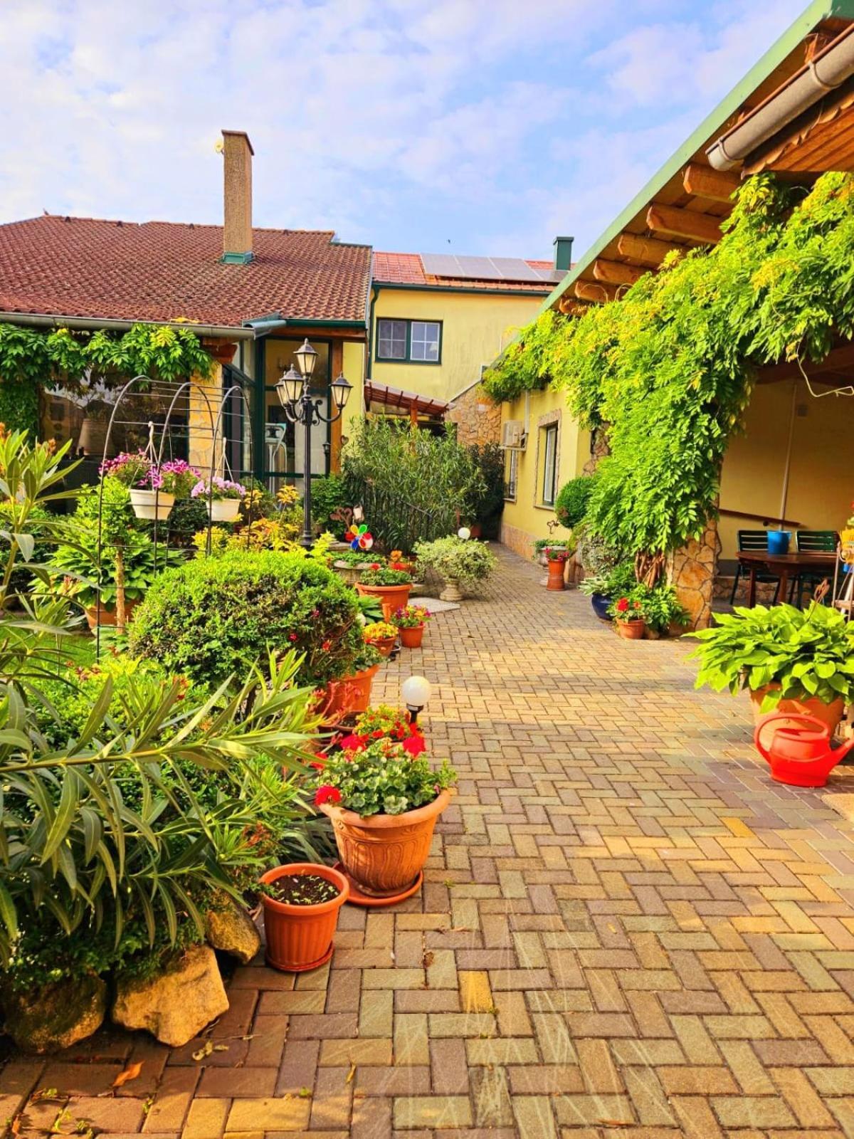 Ferienwohnung Koppi Pamhagen ภายนอก รูปภาพ