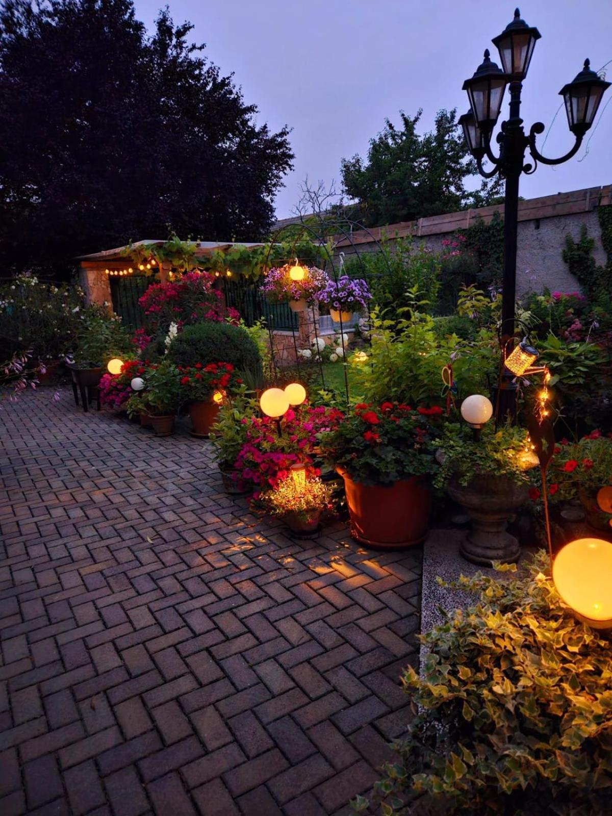 Ferienwohnung Koppi Pamhagen ภายนอก รูปภาพ