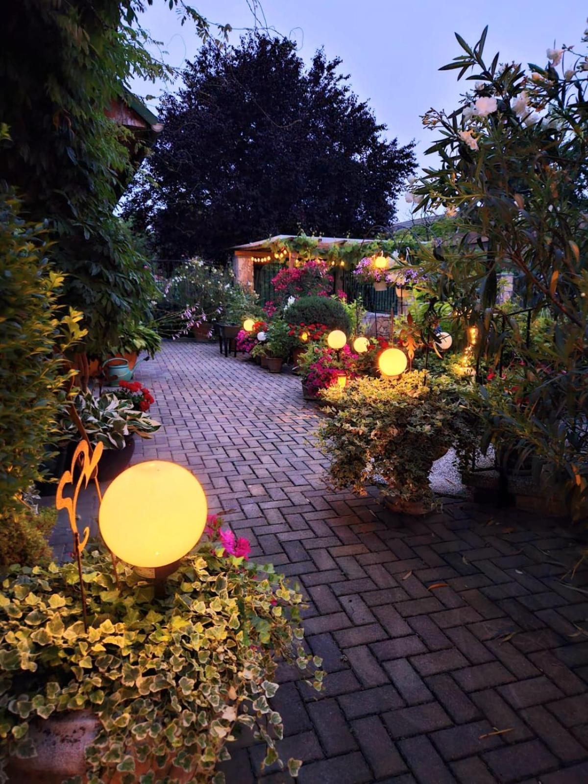 Ferienwohnung Koppi Pamhagen ภายนอก รูปภาพ