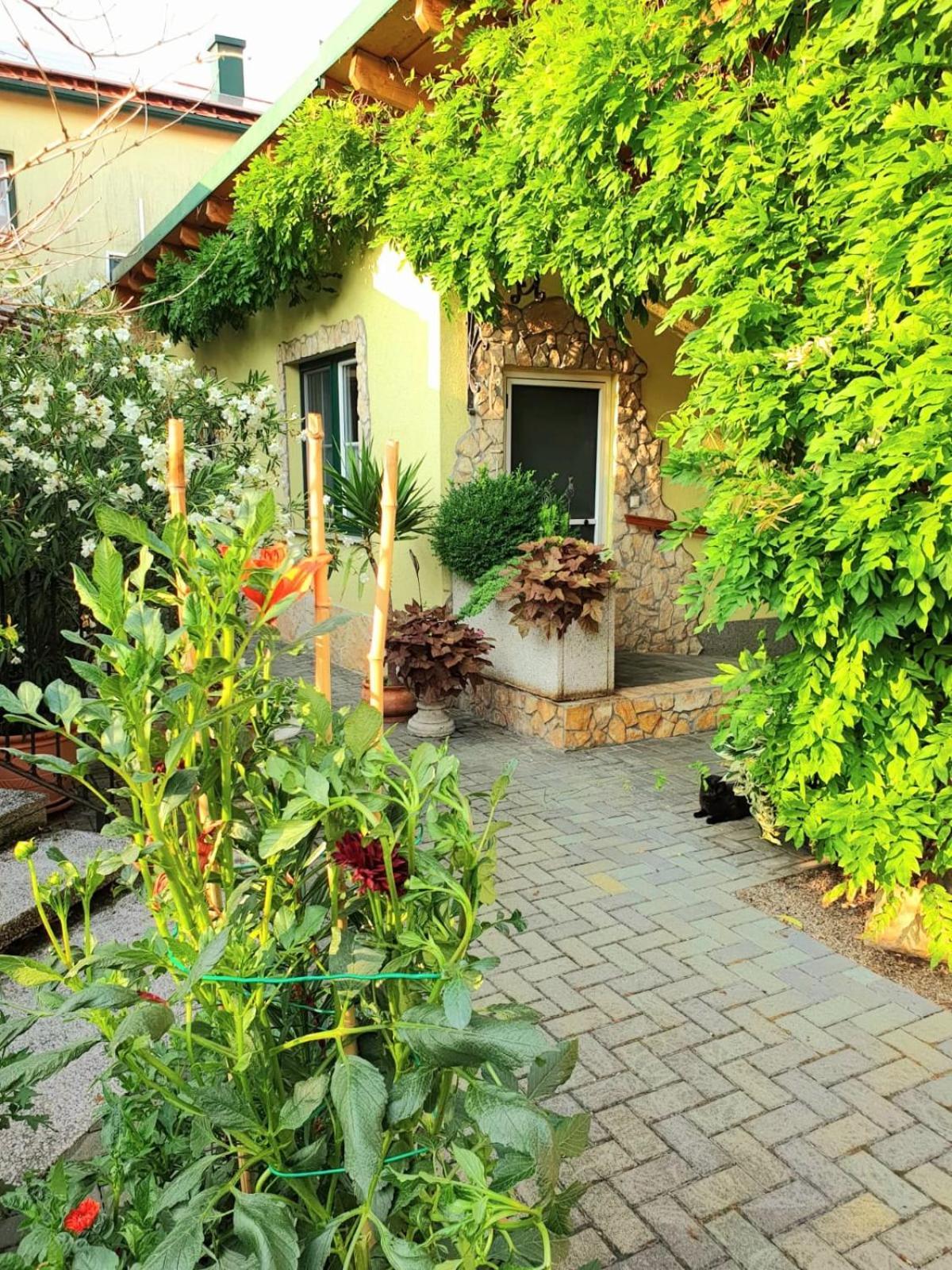 Ferienwohnung Koppi Pamhagen ภายนอก รูปภาพ
