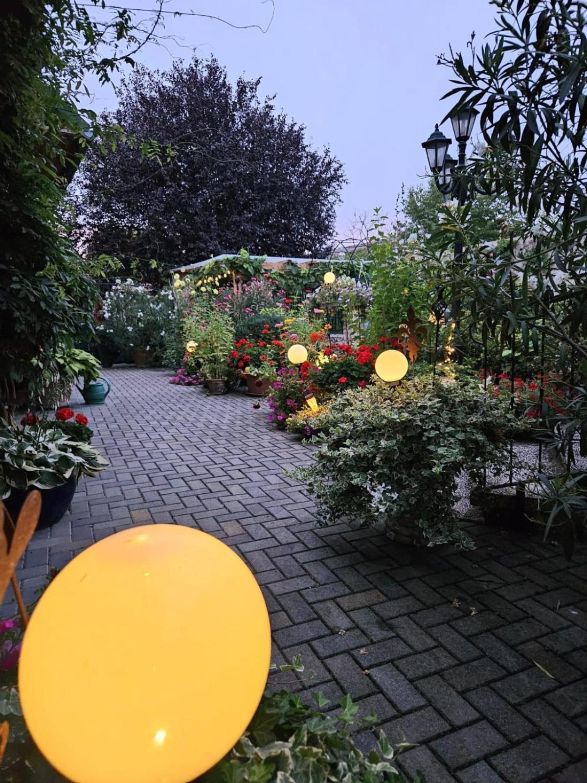 Ferienwohnung Koppi Pamhagen ภายนอก รูปภาพ