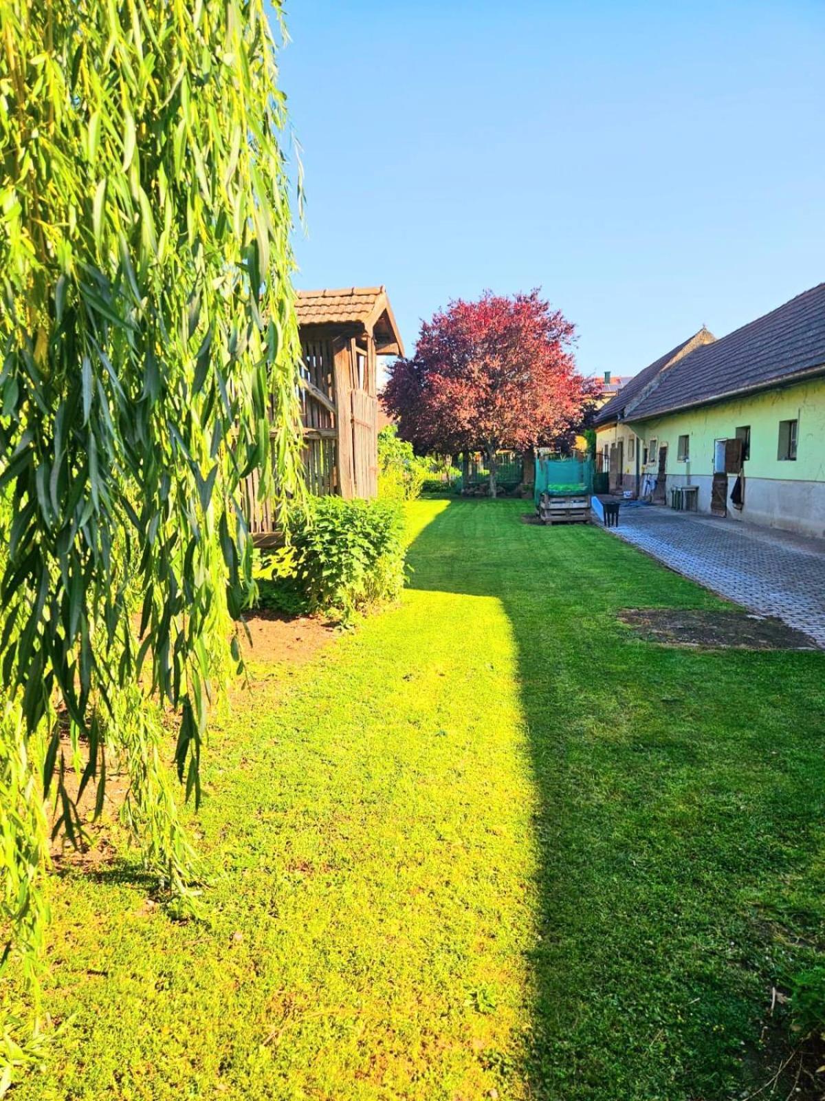 Ferienwohnung Koppi Pamhagen ภายนอก รูปภาพ