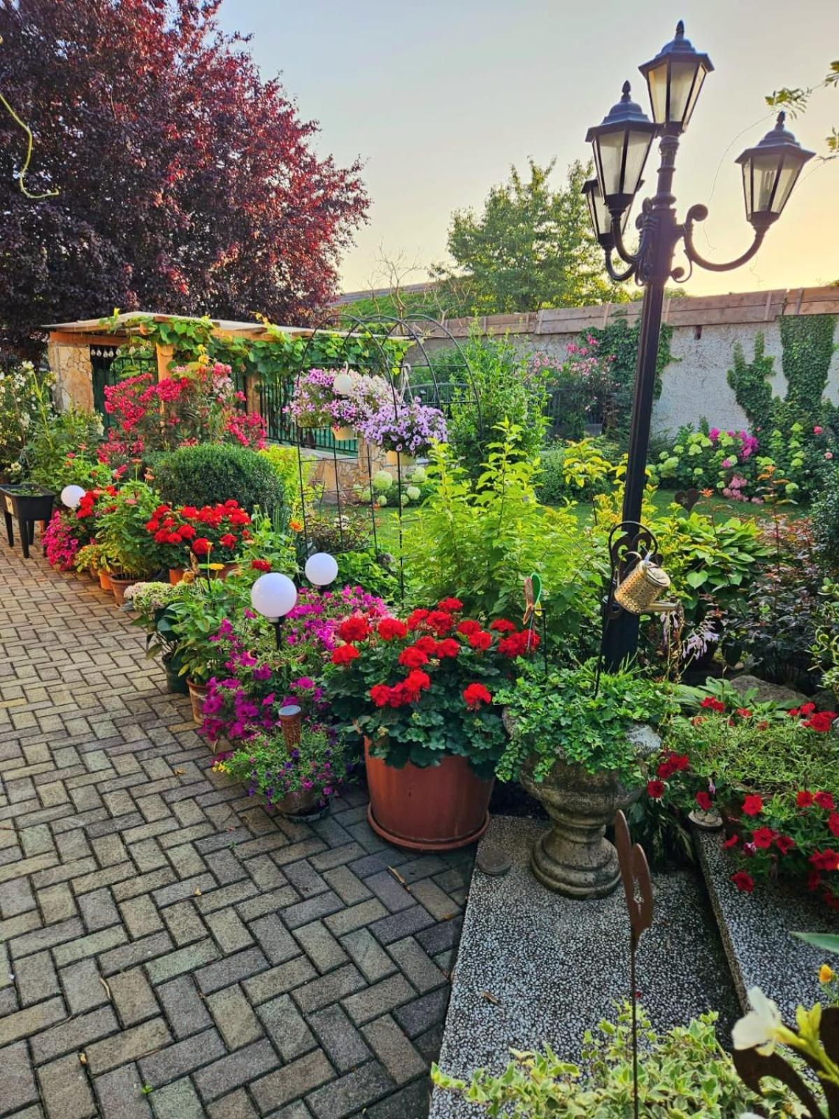 Ferienwohnung Koppi Pamhagen ภายนอก รูปภาพ